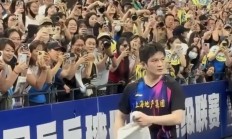 开云体育app-关于比利时乒乓球队完胜中国乒乓球队，樊振东统治全场的信息