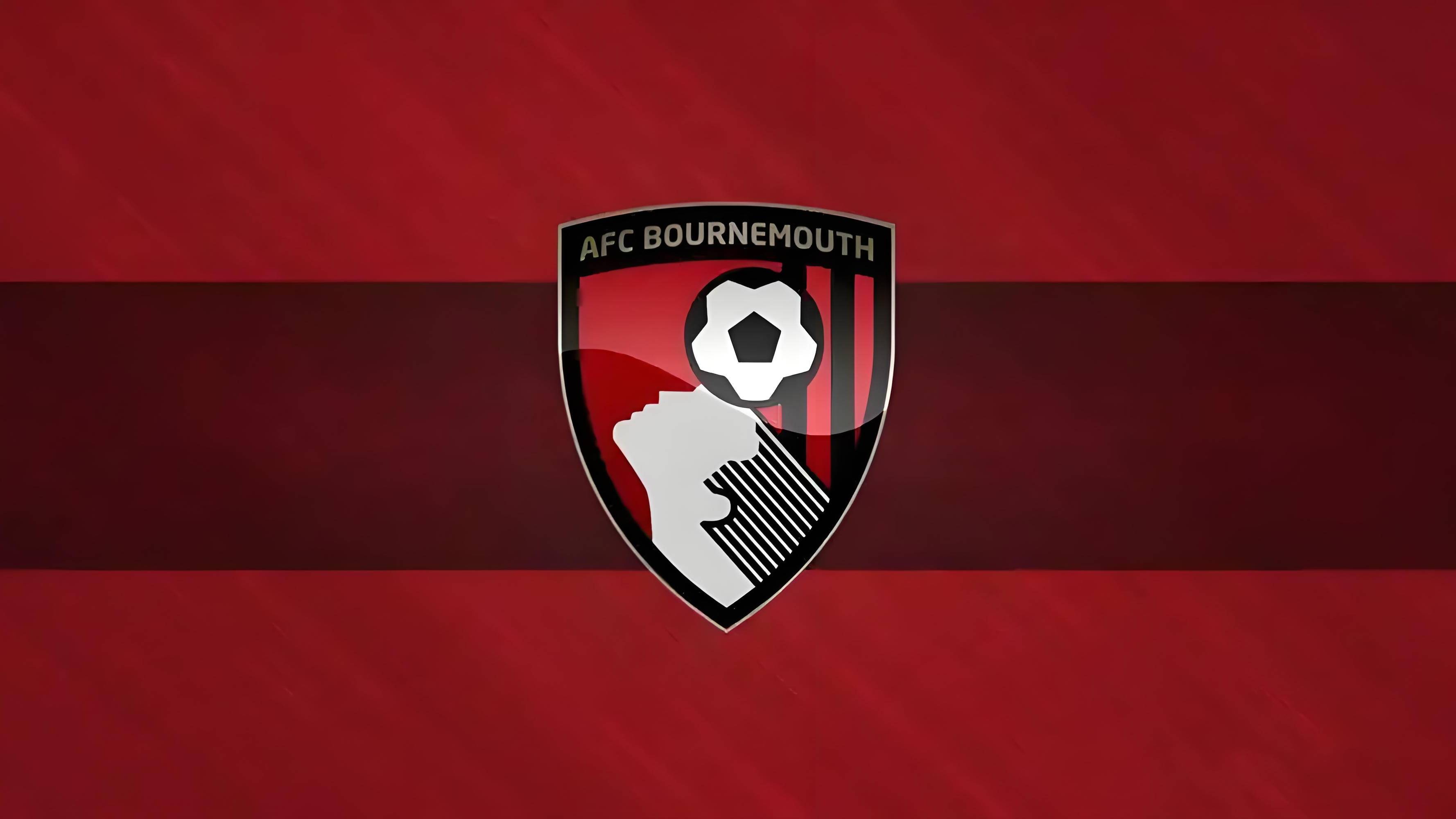 包含伯恩茅斯防线坚不可摧新援成球队定海神针的词条