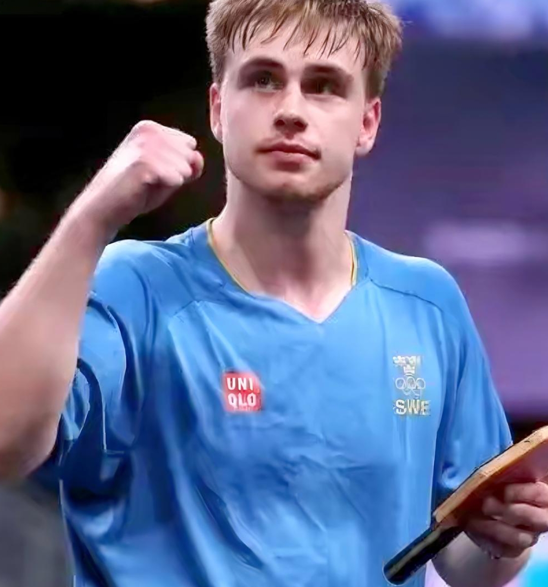 中国乒乓球队横扫波兰乒乓球队，波尔高光表现的简单介绍