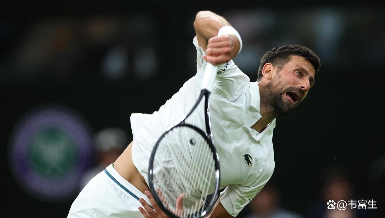 包含美网逆转温网，德约科维奇高光表现的词条