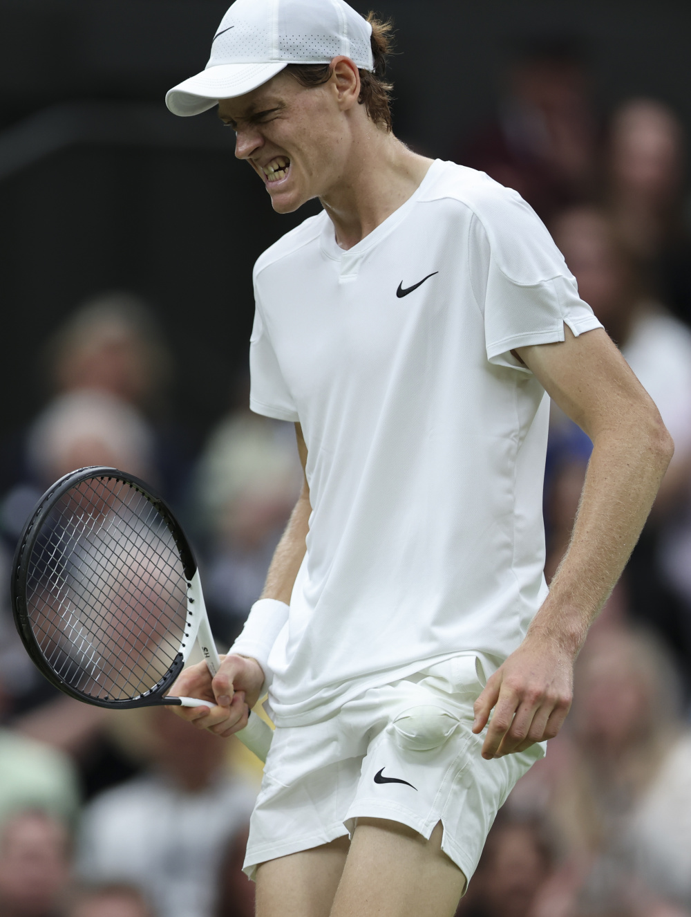 温网鏖战ATP总决赛，梅德韦杰夫高光表现的简单介绍