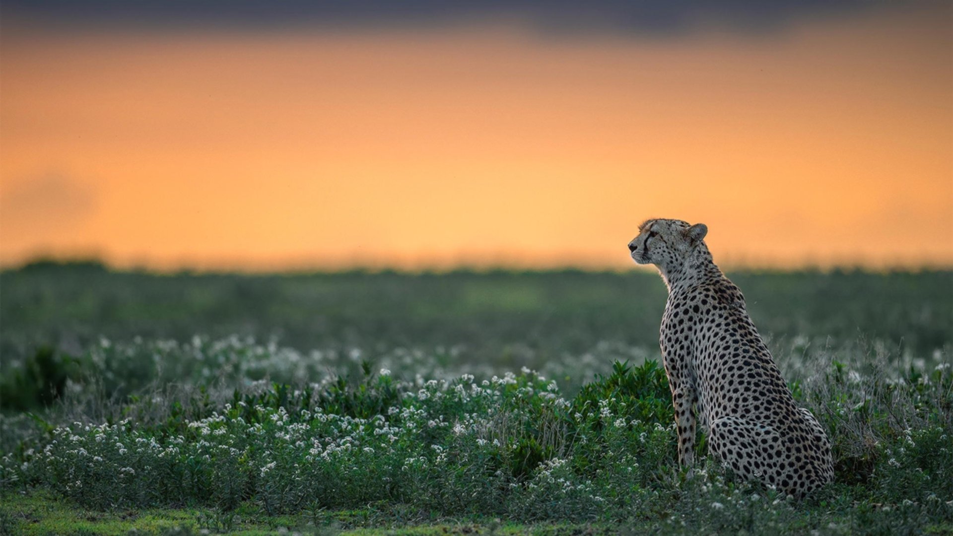 班凯罗贡献制胜表现，新疆队速胜76人